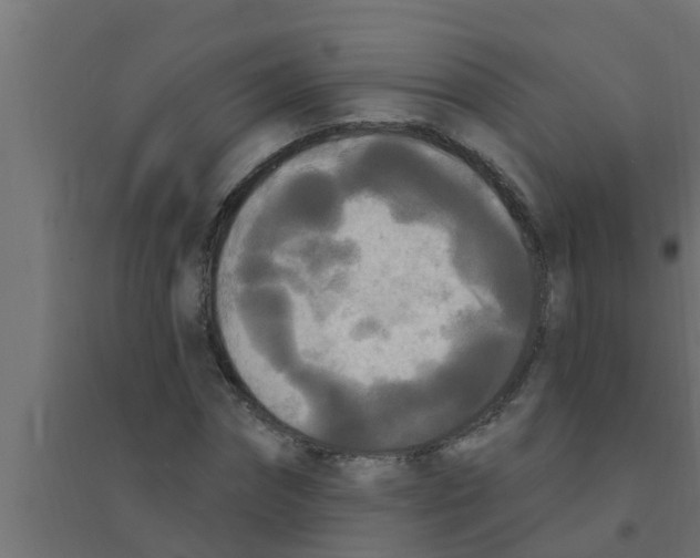 X0000094230874200711241742