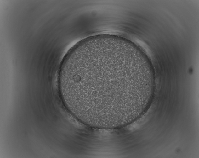 X0000094230875200711241742
