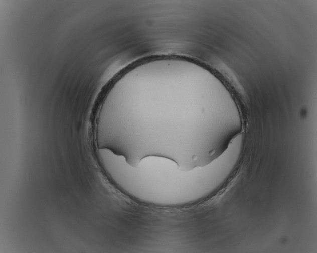 X0000094230876200711241742