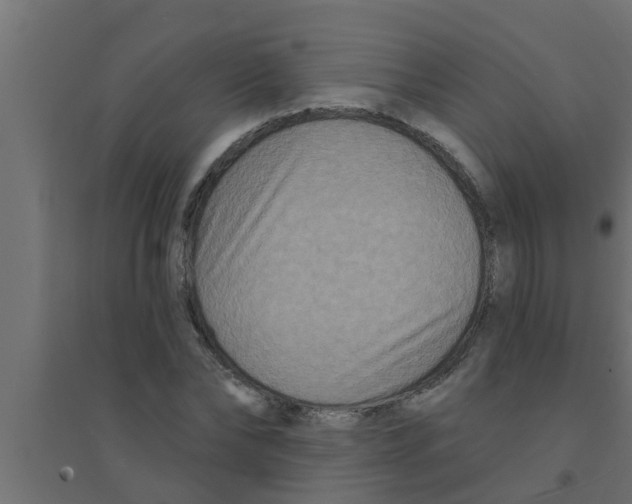 X0000094230878200711241742