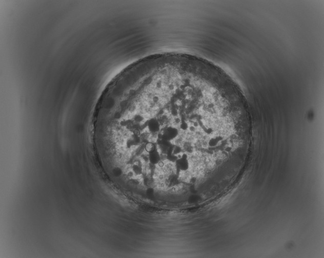 X0000094230879200711241742