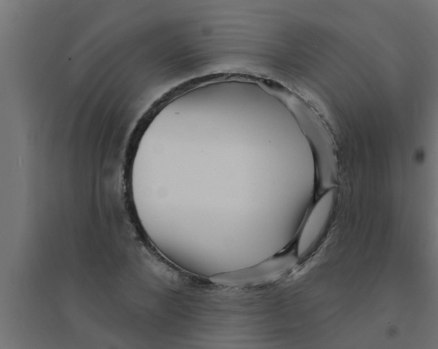 X0000094230880200711241742