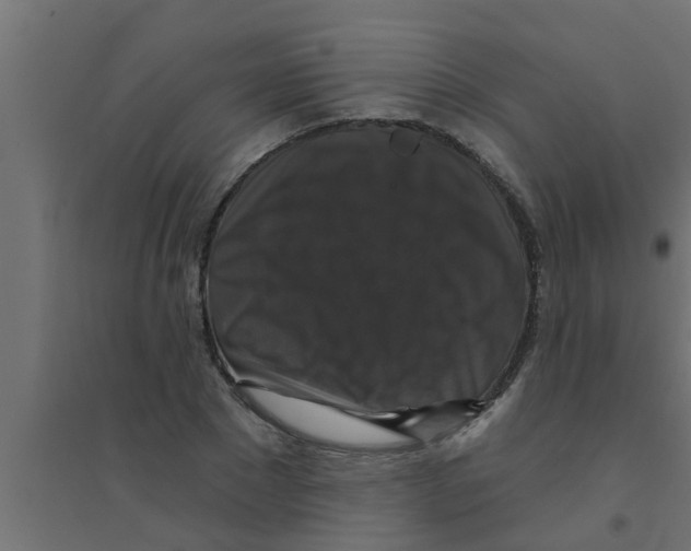 X0000094230881200711241742