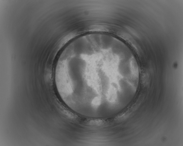 X0000094230882200711241742