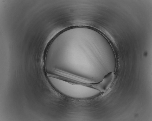 X0000094230885200711241742