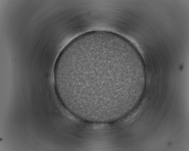 X0000094230887200711241742