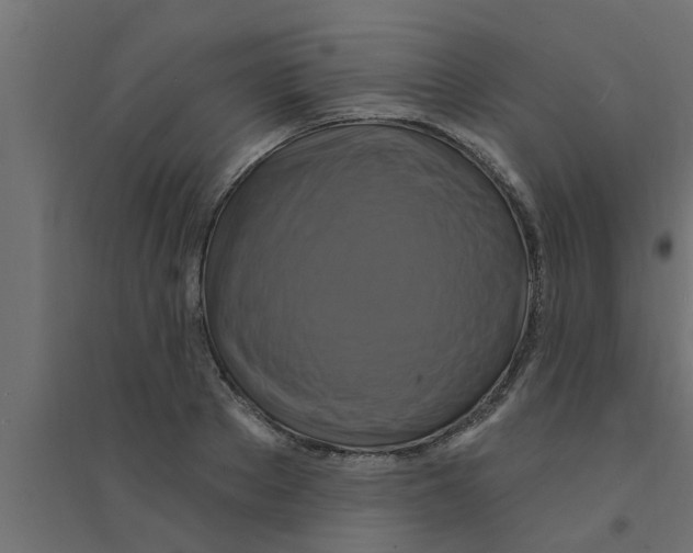 X0000094230889200711241742