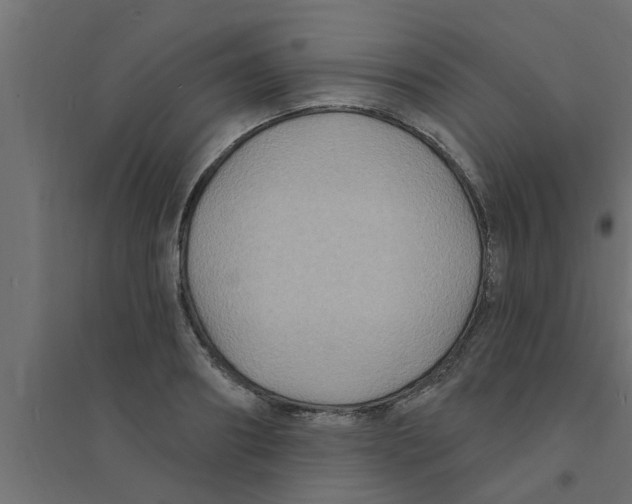 X0000094230890200711241742