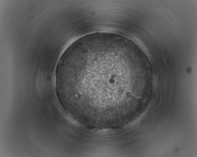 X0000094230891200711241742