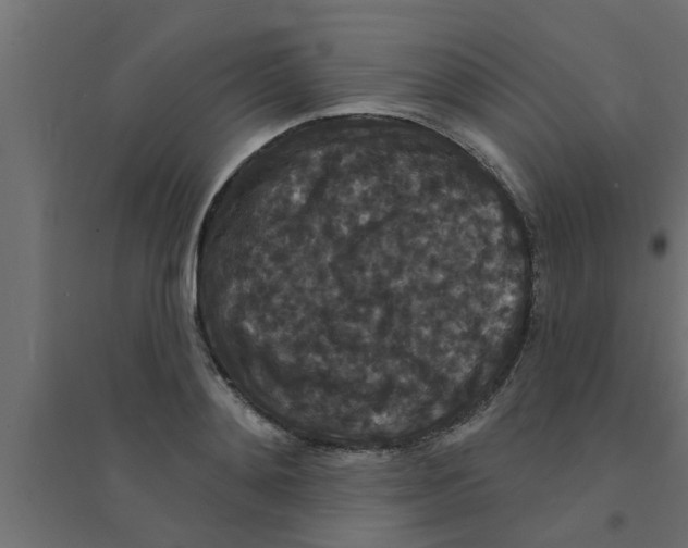 X0000094230892200711241742
