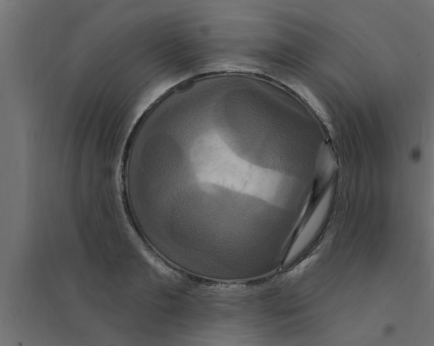 X0000094230893200711241742