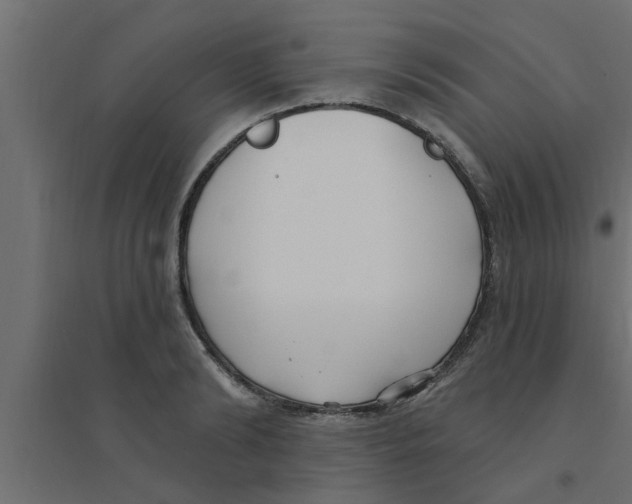 X0000094230894200711241742