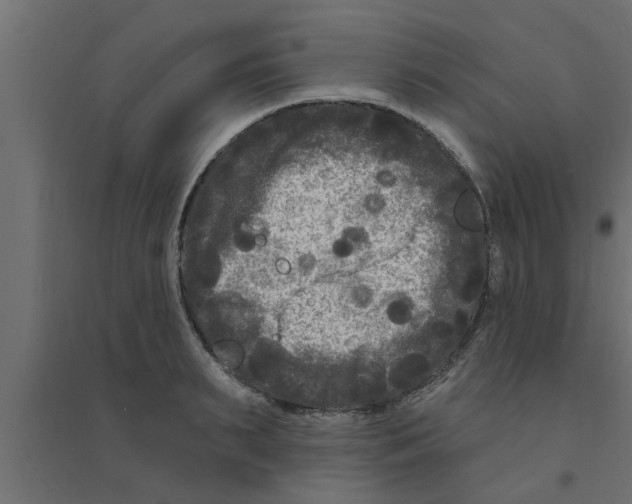 X0000094230895200711241742