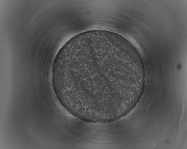 X0000094230896200711241742