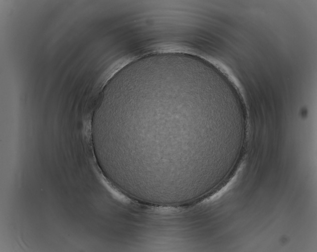 X0000094230897200711241742