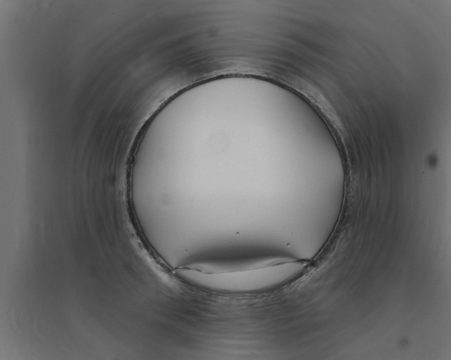X0000094230898200711241742