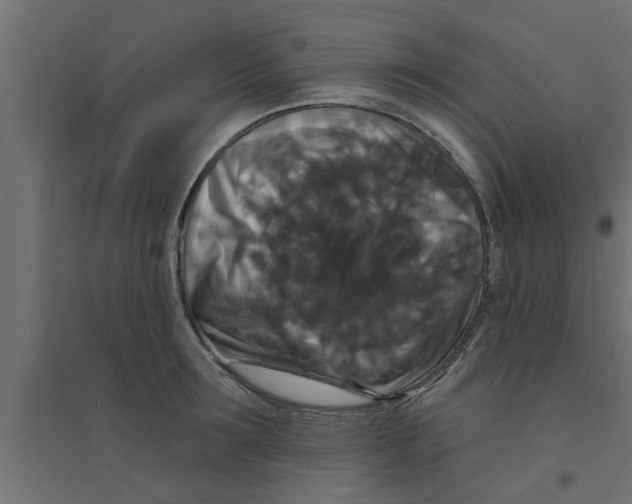 X0000094230899200711241742
