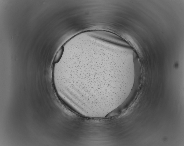 X0000094230900200711241742
