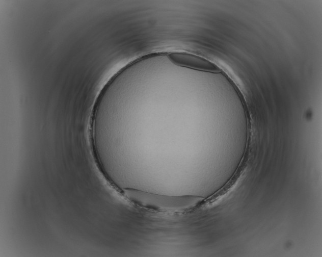 X0000094230901200711241742