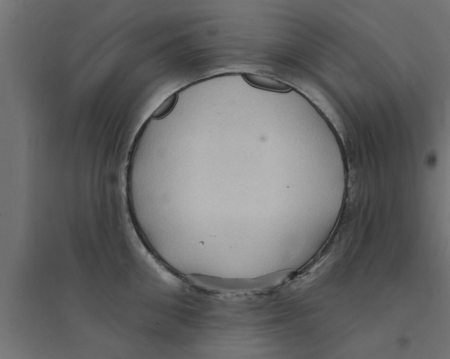 X0000094230906200711241742