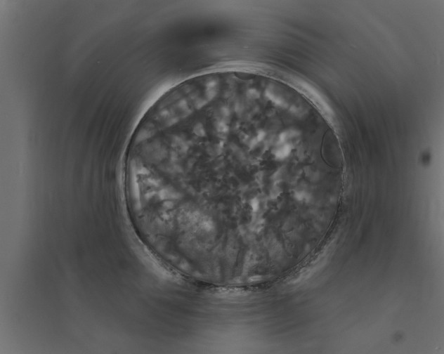X0000094230907200711241742