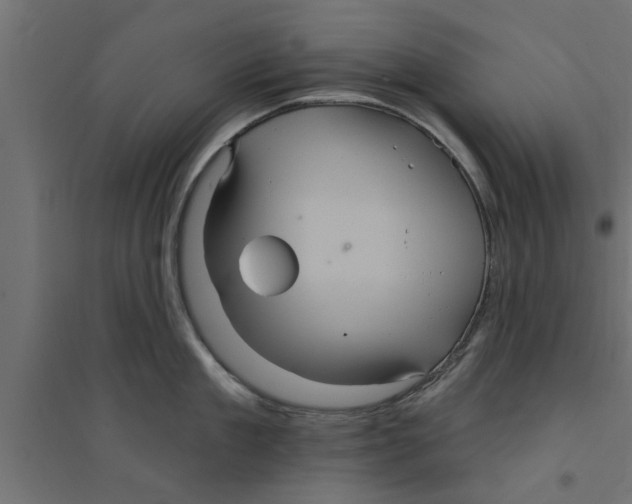 X0000094230909200711241742