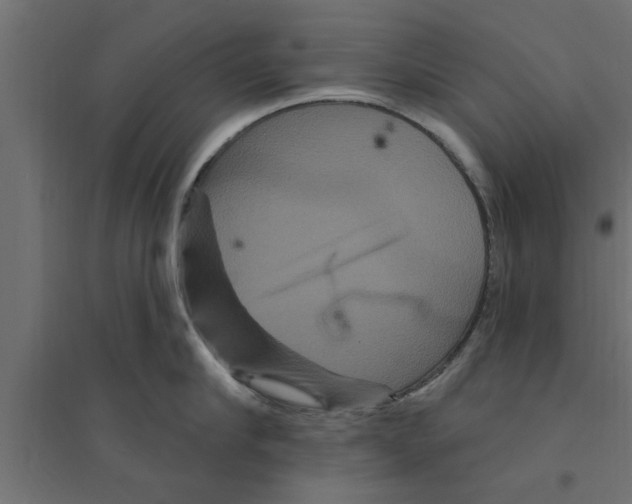 X0000094230910200711241742