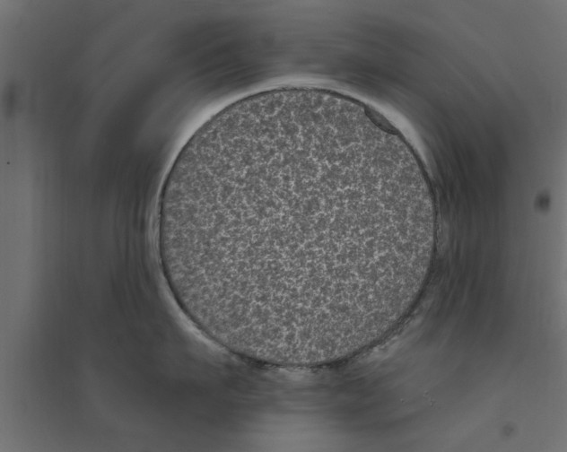 X0000094230911200711241742