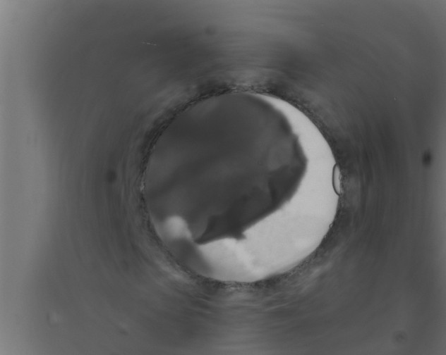 X0000094230913200711241741