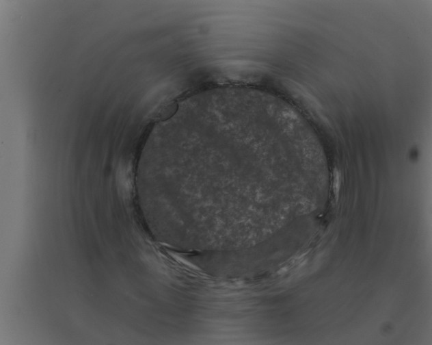 X0000094230915200711241741