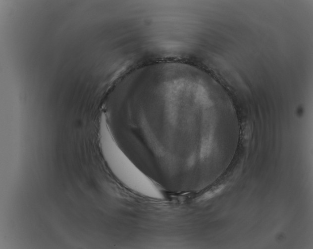 X0000094230916200711241741