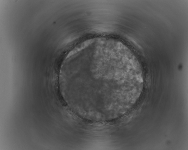 X0000094230917200711241741
