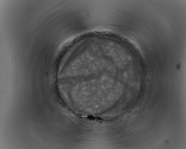 X0000094230920200711241741