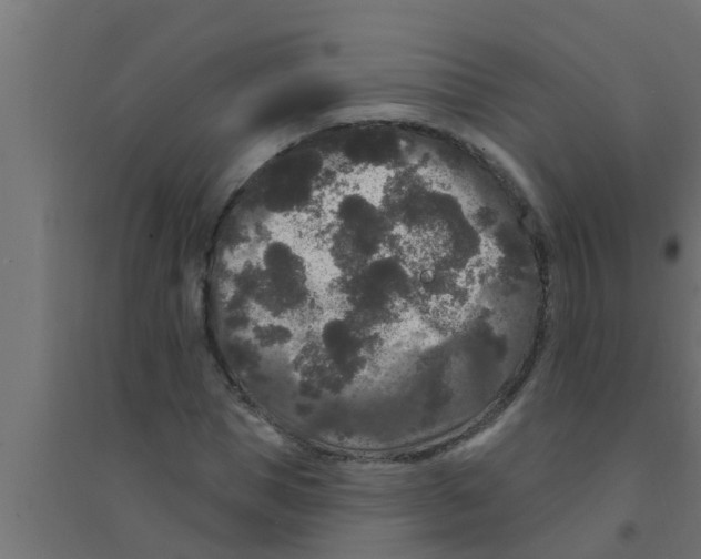 X0000094230921200711241741