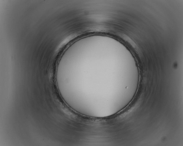 X0000094230922200711241741
