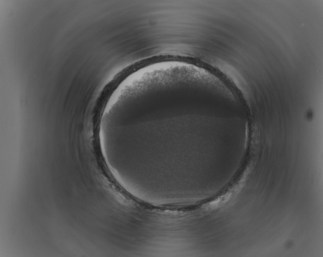 X0000094230923200711241741