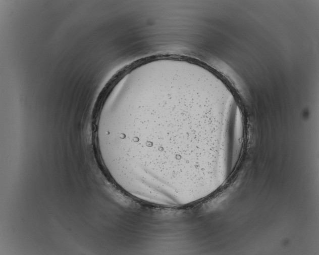 X0000094230924200711241741