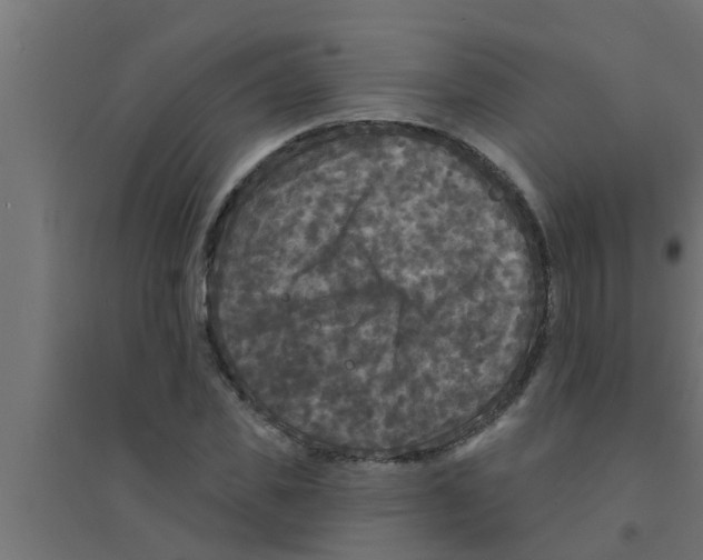 X0000094230925200711241741