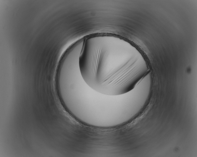 X0000094230928200711241741