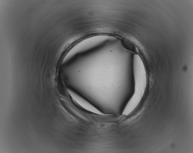 X0000094230930200711241741