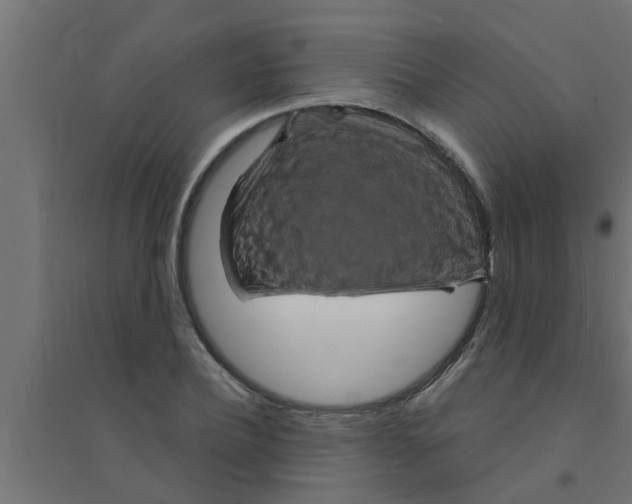 X0000094230932200711241741