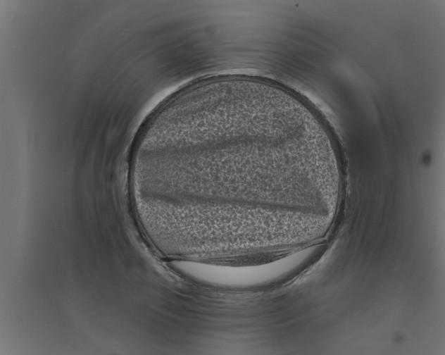 X0000094230933200711241741