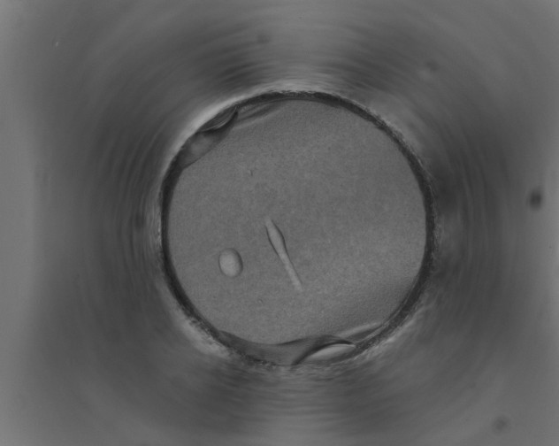 X0000094230934200711241741