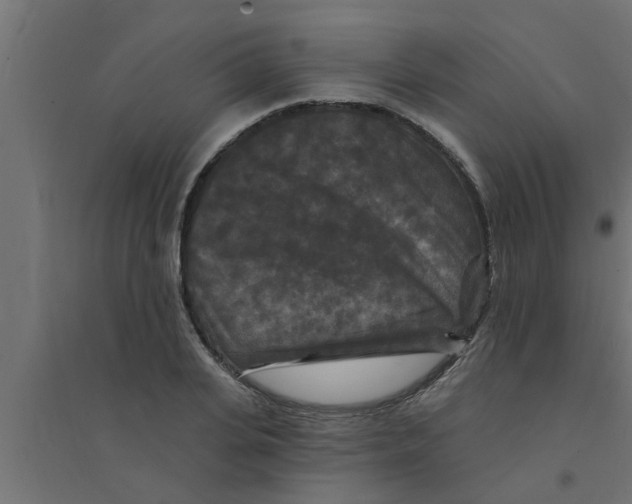 X0000094230935200711241741