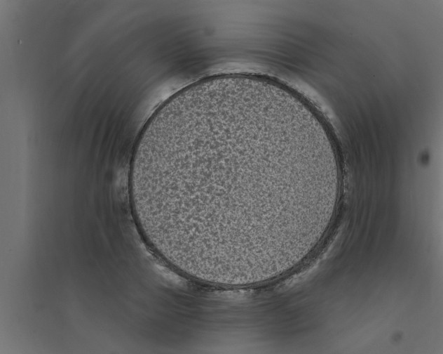 X0000094230937200711241741