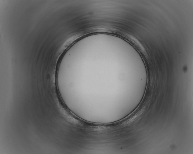 X0000094230938200711241741