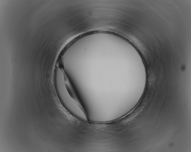 X0000094230940200711241741