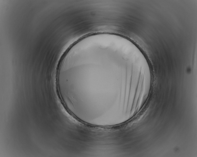 X0000094230941200711241741