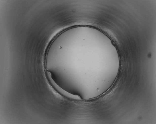 X0000094230942200711241741