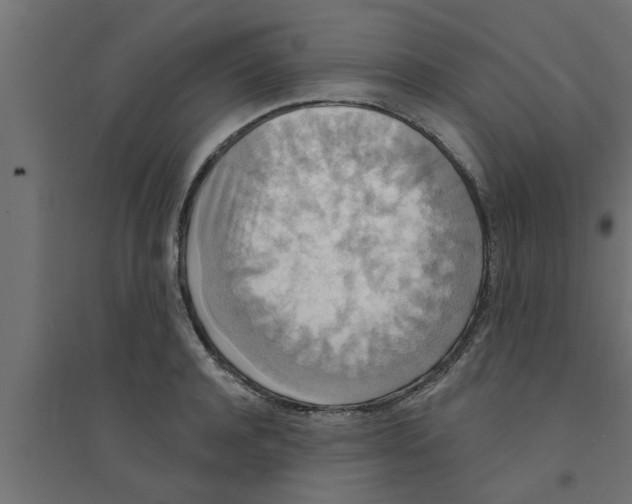 X0000094230944200711241741